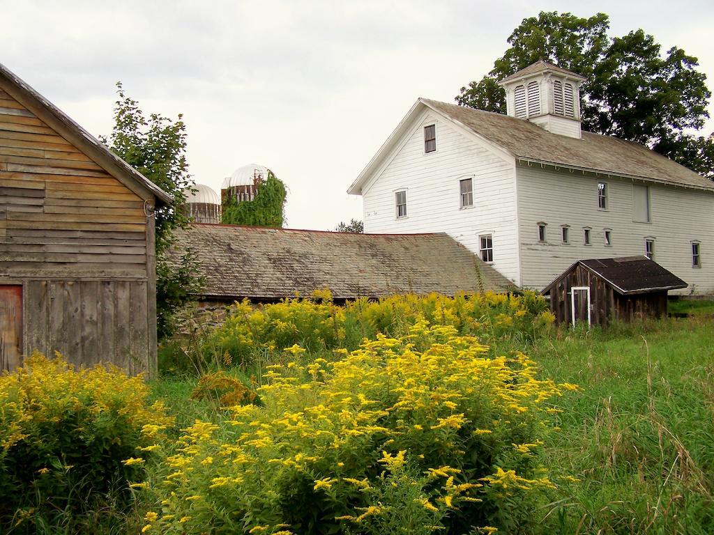 Saratoga Farmstead B&B ซาราโทกาสปริงส์ ภายนอก รูปภาพ