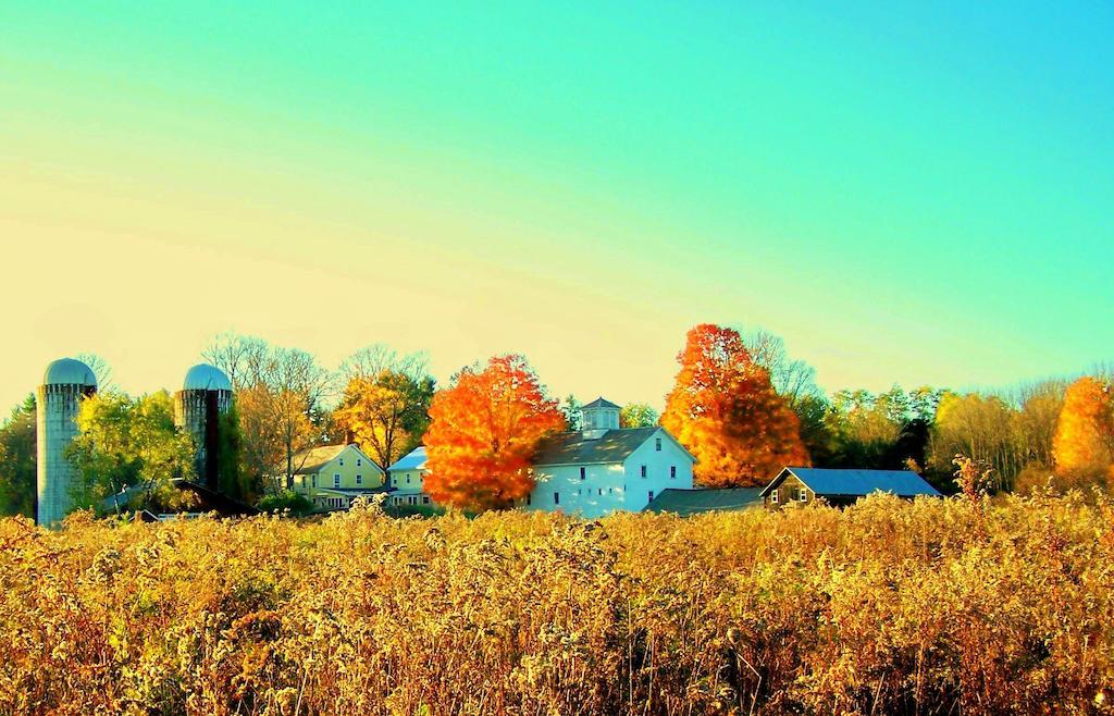 Saratoga Farmstead B&B ซาราโทกาสปริงส์ ภายนอก รูปภาพ