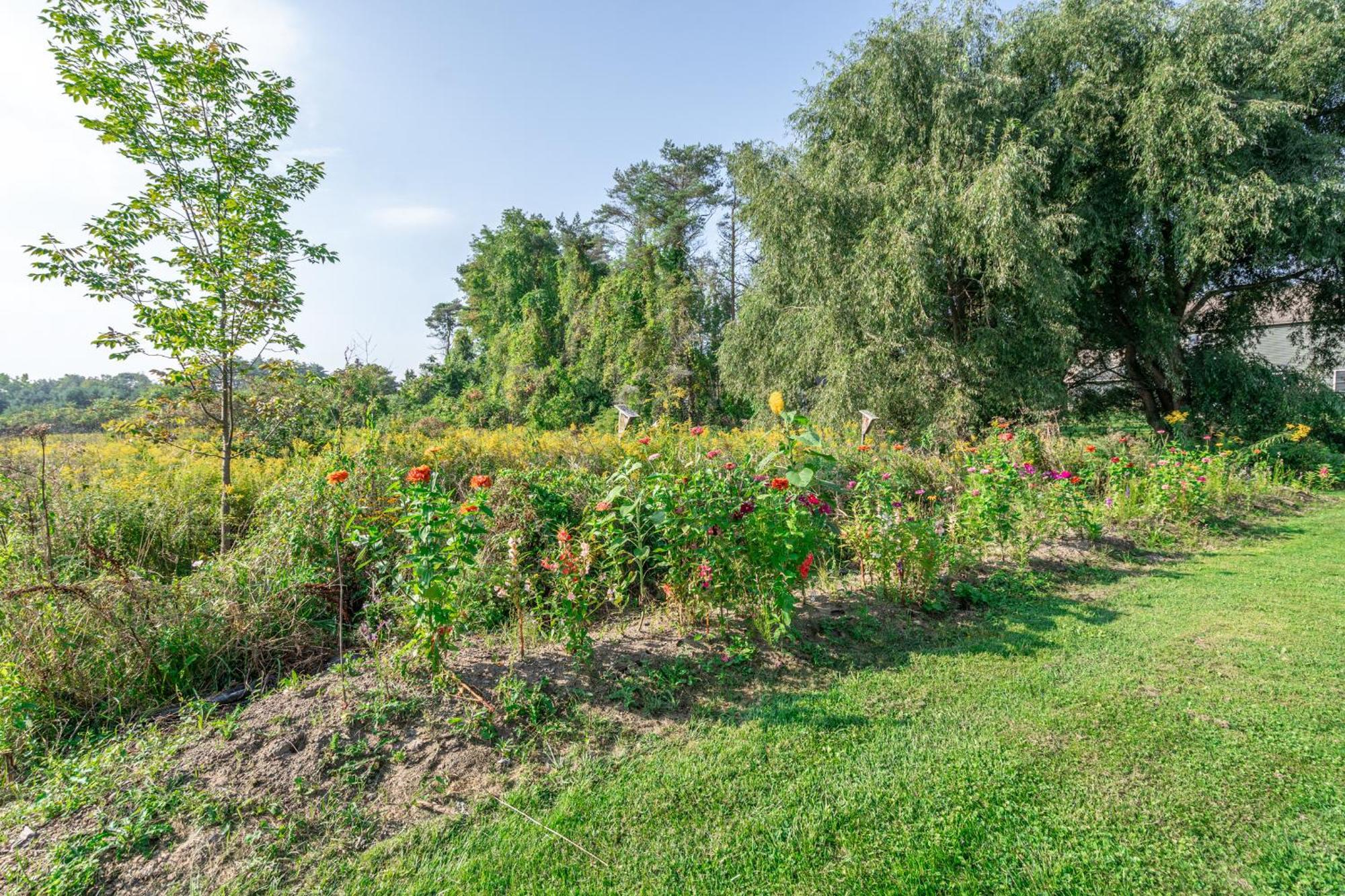 Saratoga Farmstead B&B ซาราโทกาสปริงส์ ภายนอก รูปภาพ