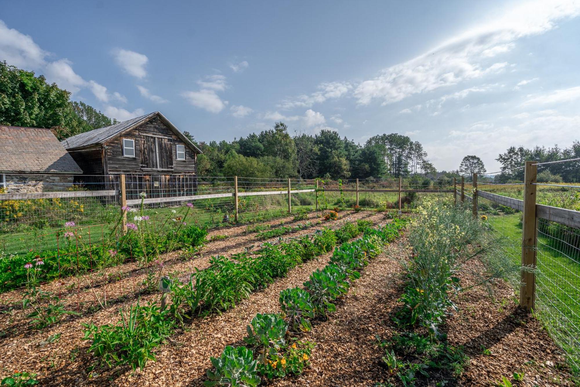 Saratoga Farmstead B&B ซาราโทกาสปริงส์ ภายนอก รูปภาพ